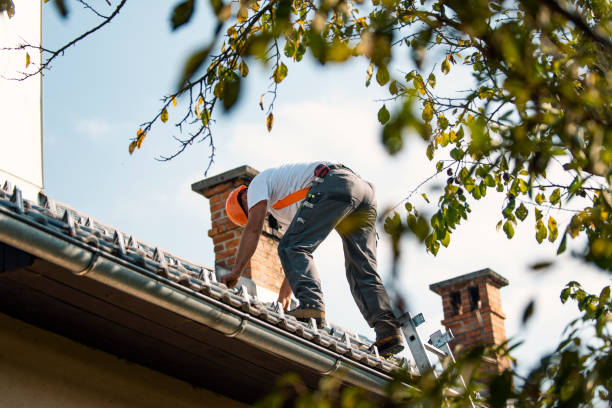 Roof Gutter Cleaning in Krugerville, TX
